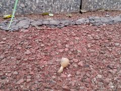 -天津东丽湖风景区