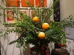 -月芽·自由餐厅·西溪湿地餐厅