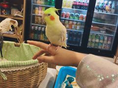 -藦茜花园宠物主题亲子互动体验馆(国顺东路店)