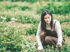 -三圣花乡旅游区