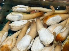 -连鹭海鲜·海肠捞饭·海胆饭(星海店)