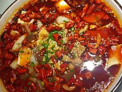 -雲蜀龙阁·金牌水煮鱼(方庄店)