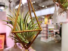 -KKV(深圳kk one 店)