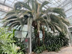 -郑州植物园