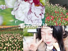 -罗森尼娜(德思勤店)