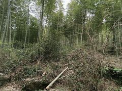 -黄公望隐居地
