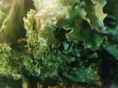 -松明一烤肉馆(鲁园店)