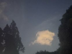 -郡艺医疗美容·微整·眼鼻吸脂