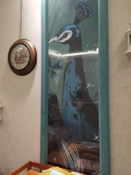 -健身堂科技美肌SPA