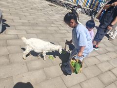 -西部长青自然儿童乐园