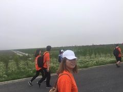 -碧海金沙