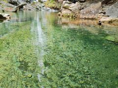 -鼎湖山风景区