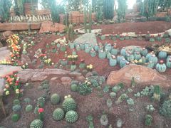 -南通洲际绿博园