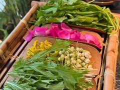 -菌自由丨野生菌火锅特色庭院餐厅(丽江古城店)