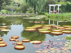 -国家植物园南园