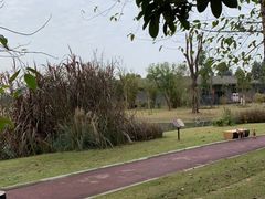 -夏河溪乡野公园