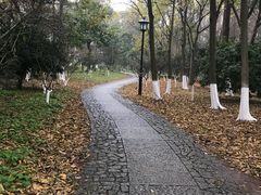 -西院1号(龙井店)