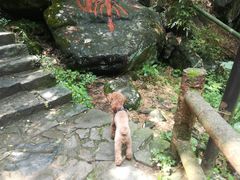 -藏龙百瀑风景区