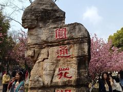 -昆明动物园