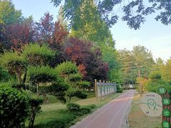 -渭滨公园