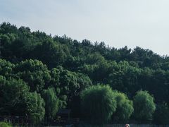-天目湖山水园
