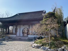 -上海滨江森林公园