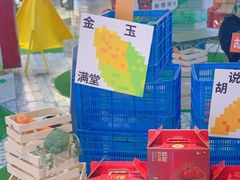 -鹏欣水游城