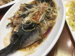 -盛京富丽园老菜馆·东北菜(和平南大街店)