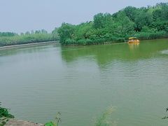 -塘沽森林公园