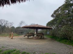 -宁波野生动物园