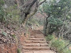 -杭州半山国家森林公园