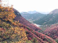 -石门坊
