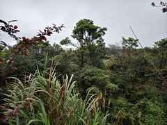-广州市石门国家森林公园