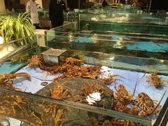 水产区-旺顺阁海鲜广场(亚运村店)
