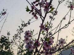 -龙潭生态旅游度假区