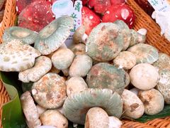 -原林野山菌火锅·炒菌(关上野生菌一条街店)