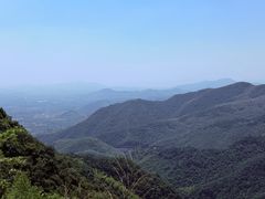 -莫干山风景区