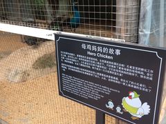 -厦门悦华酒店