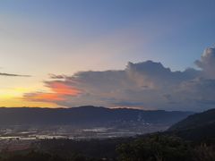 -长虫山生态公园风景林