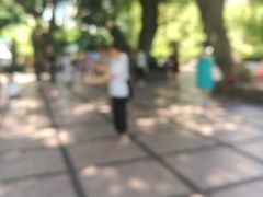 -晓港公园
