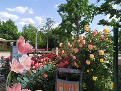 -大兴滨河森林公园