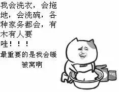 -黄金海岸水上乐园