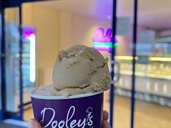 -Dooley's Premium Ice Cream