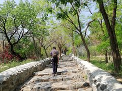 -阳台山自然风景区