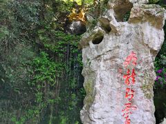 -杭州黄龙洞