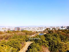 -名古屋城