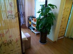 -老成都·古法采耳·禅洗头疗(四川总店)
