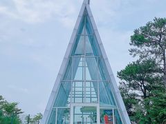 -南丹山森林王国