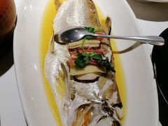-上海1号私藏菜(黄浦店)