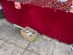 -南翠屏公园